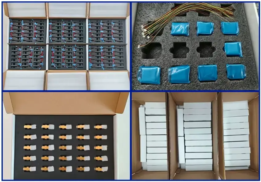 Erbium glass laser source batch assembly, protective packing and shipment preparation